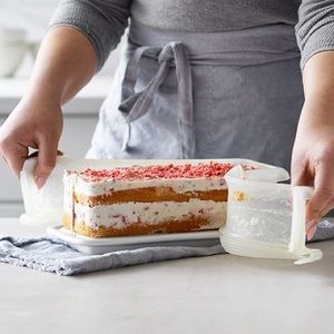 Pampered Chef Ice Cream Cake Pan NWOT